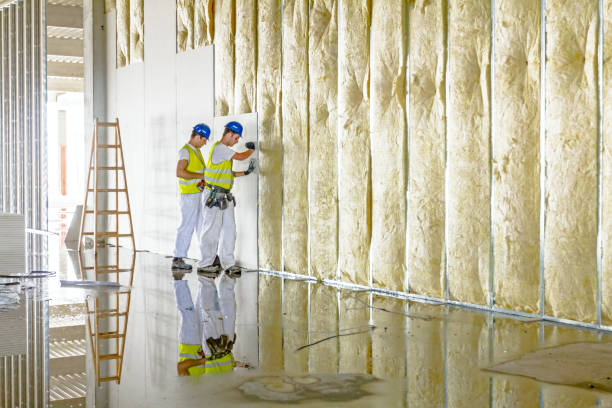 Best Spray Foam Insulation  in USA